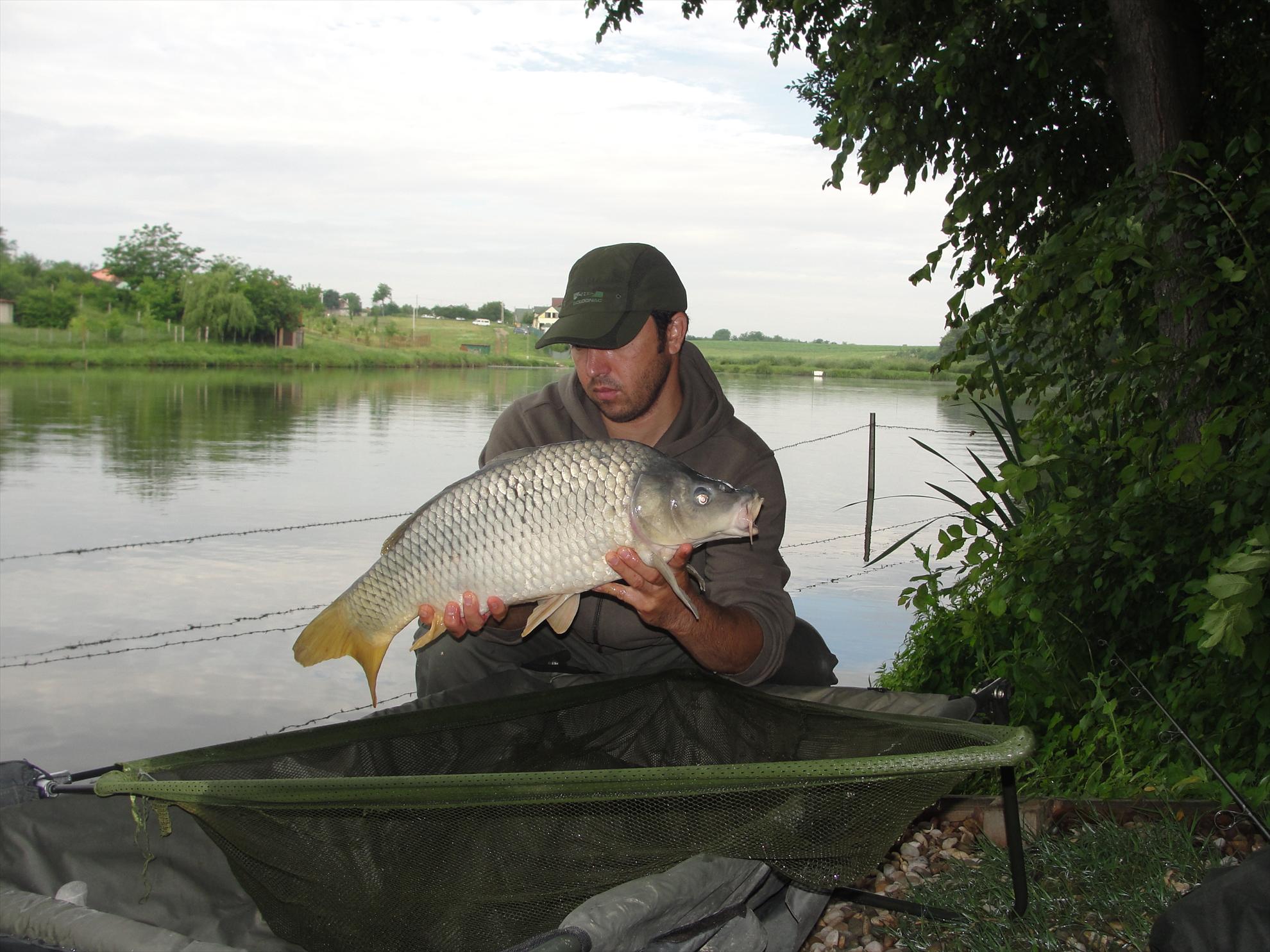 Moara Vlasiei 2 9 - 9 iun. - prima captura